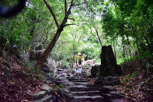 广宁县旅游景点介绍