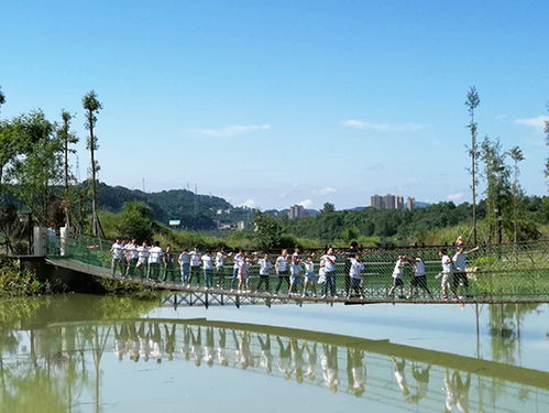 苍溪之韵梨仙湖的淡妆浓抹