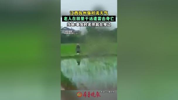 应对景点突发雷击事故的应急措施与预防方法