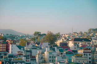 杭州至千岛湖一日游深度探索，惬意旅程，尽享水乡风光