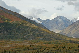 探秘福建瑰宝——漳州大芹山，自然与文化的壮丽交响