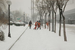 烈日炎炎，最高40℃！重庆即将迎来近六年最热中秋