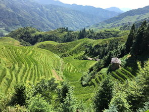 探秘中国四十佳旅游胜地，文化和自然的瑰宝