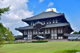 探索禅武之源，走进历史与文化的瑰宝——深度解析嵩山少林寺门票背后的故事