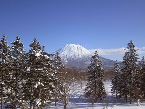 雪域恋曲，北海道白色恋人之旅——探索日本冬日浪漫风情