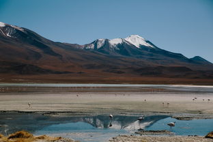 探索自然奇观，揭秘浙江金华双龙洞的神秘旅程