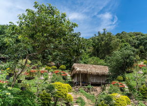 春节热浪中的五彩斑斓旅行目的地，你的春节度假指南