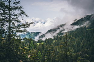 探索瑰丽的黍谷山，沉醉于自然的绿色盛宴