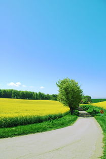 北戴河度假指南带你深度探索夏日避暑胜地的悠闲与魅力