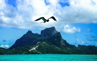 豪华海岛探险，不等同于天价梦游——揭秘大溪地旅游价格的那些事儿